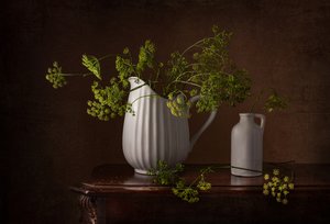 Stilleben med dillblommor av Margareth Perfoncio