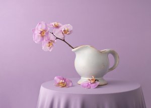 Eleganta lavendelfärgade orkidéer