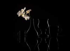 Eleganta orkidé-silhuetter av Margareth Perfoncio