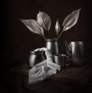 Eleganta fredsliljor av Margareth Perfoncio