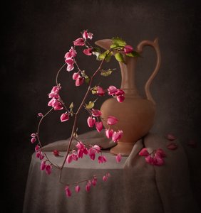 Elegant rosa stilleben av Margareth Perfoncio