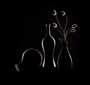 Eleganta stilleben-silhuetter