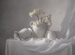 Elegant vitt stilleben av Margareth Perfoncio