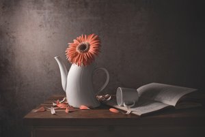 Orange Daisy – trasig tekanna av Margareth Perfoncio