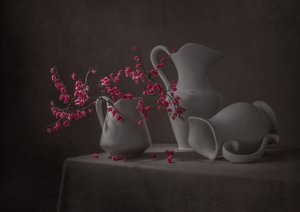 Rosa blommor och vita kannor av Margareth Perfoncio