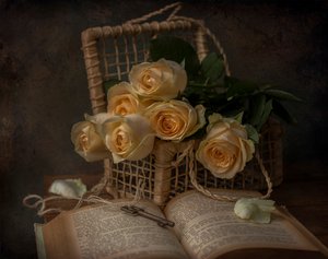 Romantiska rosor och en gammal bok