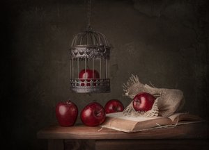 Rustika äpplen och en bok av Margareth Perfoncio