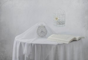Serene Clock – Bokformad fågelbur av Margareth Perfoncio