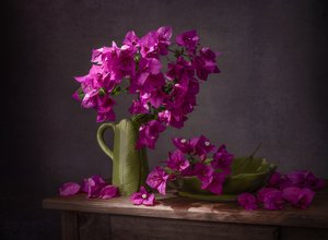 Stil liv med färgsprakande bougainvillea av Margareth Perfoncio