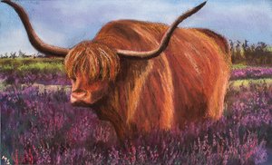 Highland Bull i Scottish Heather, 2018 (pastel) swed