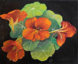 Nasturtiums, 2020 (pastell) av Margo Starkey
