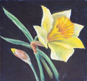 Skönheten med en påsklilja, 2021 (pastell) av Margo Starkey