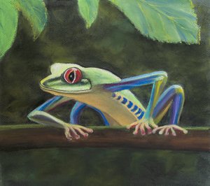 Trädgroda, 2020 (pastell)