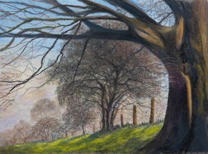 Vindblåsta träd..Shroesbury, 2020 (pastell) av Margo Starkey