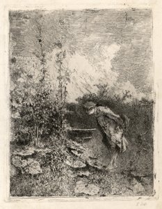 Botanikern