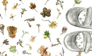 Pressade blommor, 2020