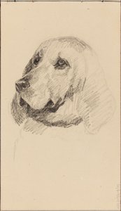 Huvud av en hund av Maria Wiik