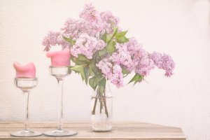 Lila och rosa ljus av Marie-anne Stas