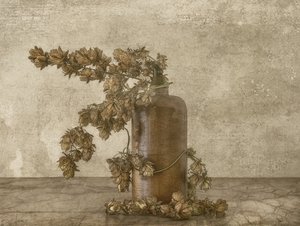 Stilleben med rustika humleblommor av Marie-anne Stas