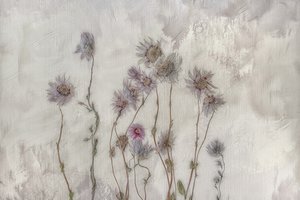 Blommor i mjuka pastellfärger av Marie-anne Stas