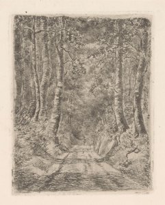 Skog längs en nedsänkt väg av Marie Adolphine van der Goes van Dirxland