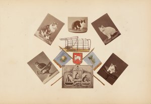 Madame B-albumet av Marie-Blanche-Hennelle Fournier