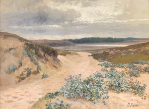 Dune landskap i Bretagne