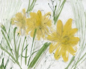 Blommor Marina av Marina Falco
