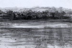The Lake, 2023 (olja och kol på papper) av Marina Falco