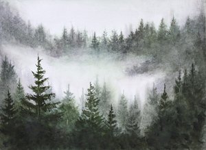 Lugn i den dimmiga skogen