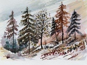 Snöig gryning i skogen