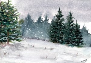 Snöig vinterskog