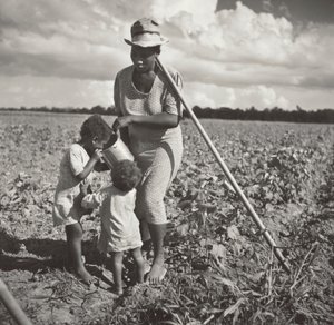 Svart kvinna som ger sina barn något att dricka på fältet där hon hackar bomull i ett FSA-samarbetsprojekt (Allen Plantation)