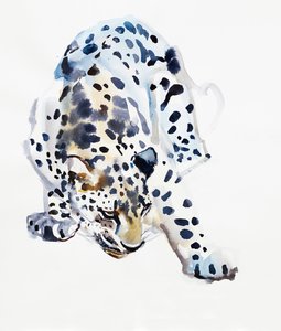 Arabisk leopard, 2008 av Mark Adlington