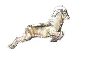 Arabian Tahr, 2009 (conte och kol på papper) av Mark Adlington