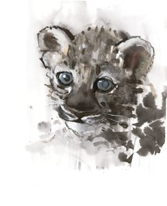Blue Eyes (arabisk leopardunge), 2008 av Mark Adlington