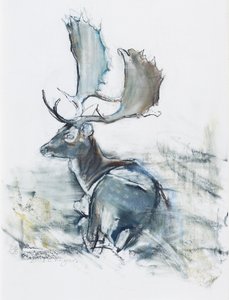 Buck in the Grass, 2006 (charcoal und conte på papper) av Mark Adlington