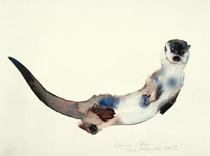 Nyfiken Otter, 2003