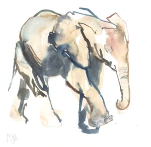 Elefantkalv, Loisaba, 2017 (akvarell på papper)) av Mark Adlington