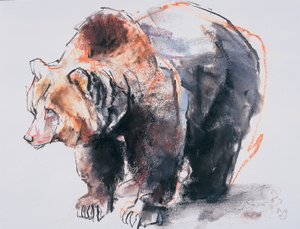Europeisk brunbjörn, 2001 (träkol och conte på papper) av Mark Adlington