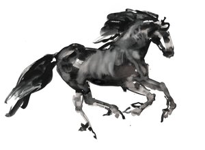 Galopp, 2015, (bläck och akvarell på papper)