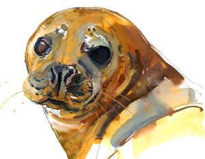 Ginger Pup, Westcove, 2023 av Mark Adlington
