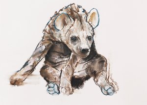 Hyaena Pup (huvudet ner), 2019 av Mark Adlington