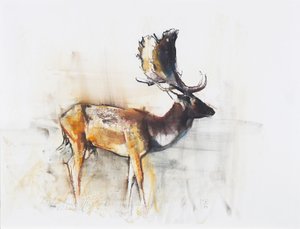 Magnificent Fallow Buck, 2006 (kol och conte på papper) av Mark Adlington