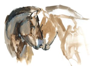 Nose to Nose (Przewalski), 2013 (sennelier bläck, akvarell och gouache) av Mark Adlington