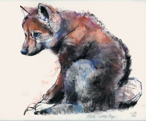 Polish Wolf Pup, 2001 (charcoal und conte på papper) av Mark Adlington
