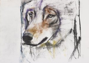 Processo Al Lupo (blandmaterial på papper) av Mark Adlington