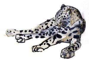 Liggande (arabisk leopard), 2008 av Mark Adlington