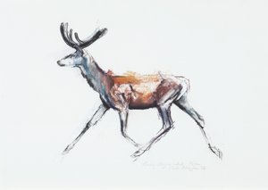 Running Stag i sammet, Polsen, 2006 (charcoal und conte på papper) av Mark Adlington