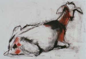 Sittande get, 1998 (conte och kol på papper) av Mark Adlington